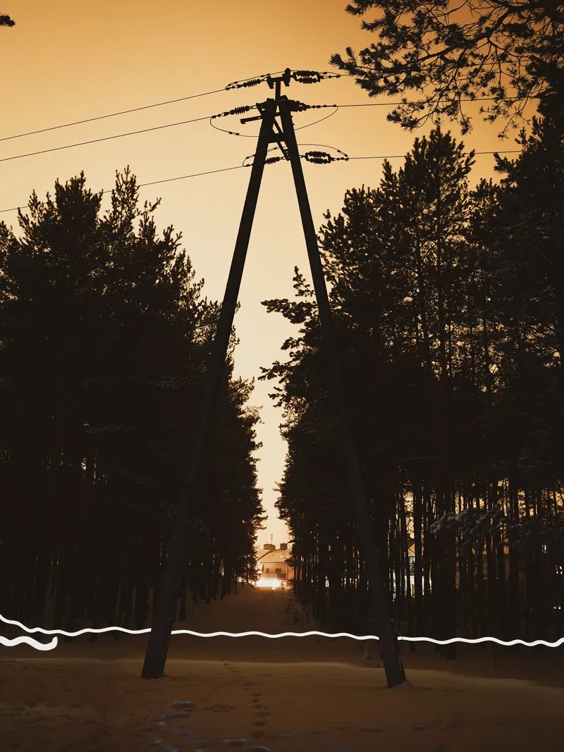 Słup energetyczny między sosnami o zachodzie słońca